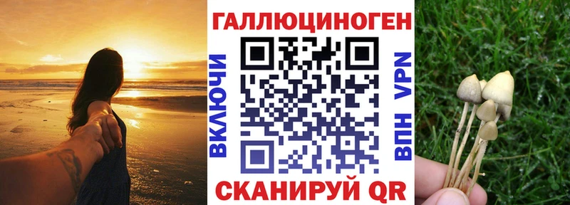 Галлюциногенные грибы GOLDEN TEACHER  Горно-Алтайск 